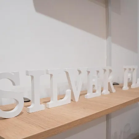 Apartment The Silver Flat Vigo