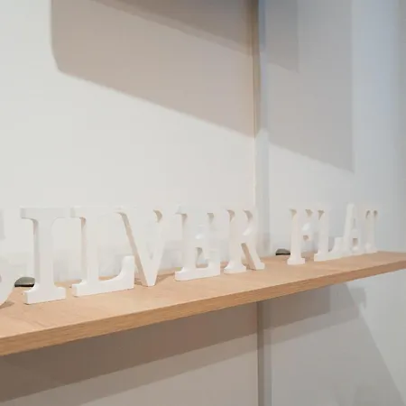 The Silver Flat 아파트 *