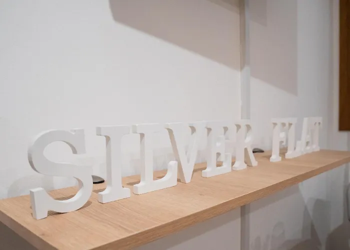 דירה The Silver Flat ויגו