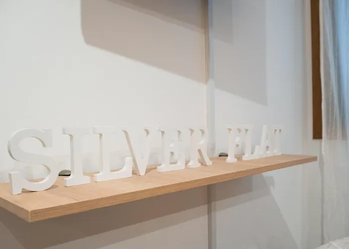 The Silver Flat דירה *